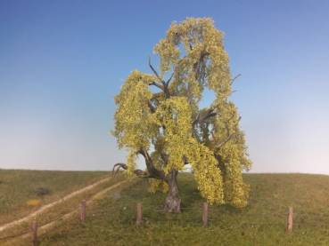 Trauerweide (1:87) Frühling